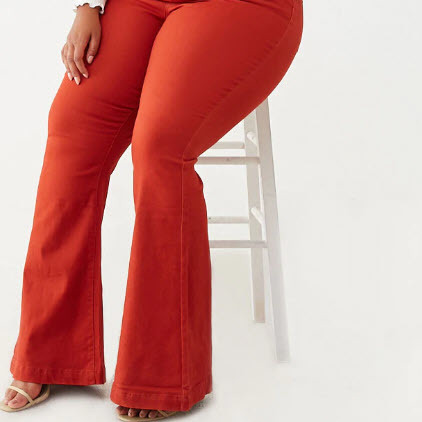 Plus Size Flare Jeans