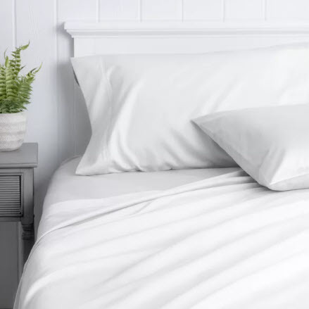 Wayfair Sleep 100% Cotton Sheet Set