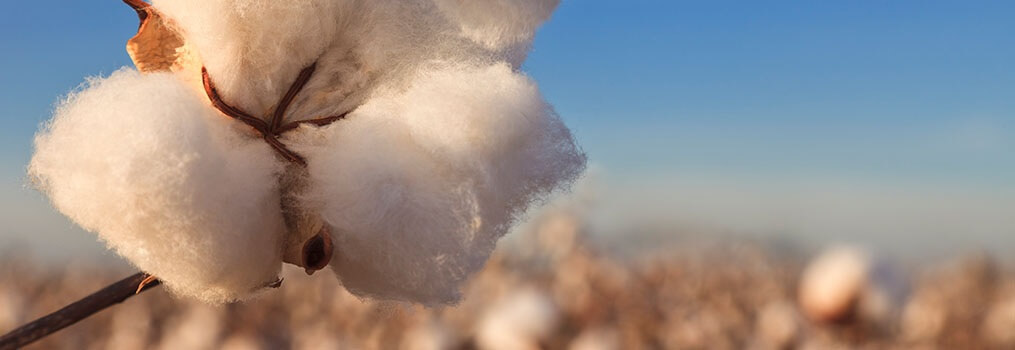 cotton is natural, grown from the earth