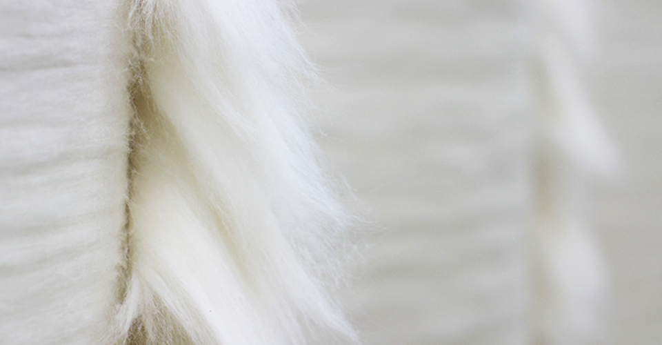 cotton blog final image2 labs
