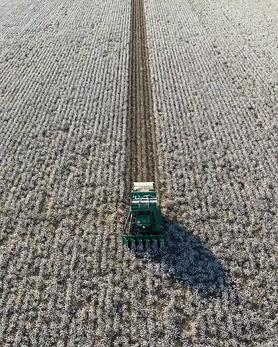 Aerial view of a cotton harvester working in a vast cotton field.