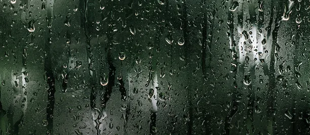 Nurtured by Rainfall