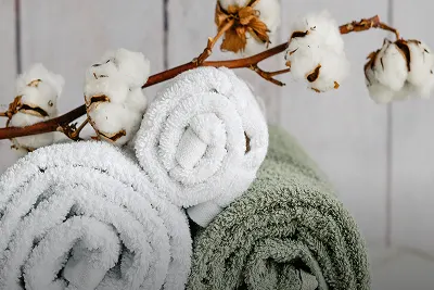 Rolled cotton towels with a cotton branch, showcasing the natural benefits of cotton for comfort and sustainability.