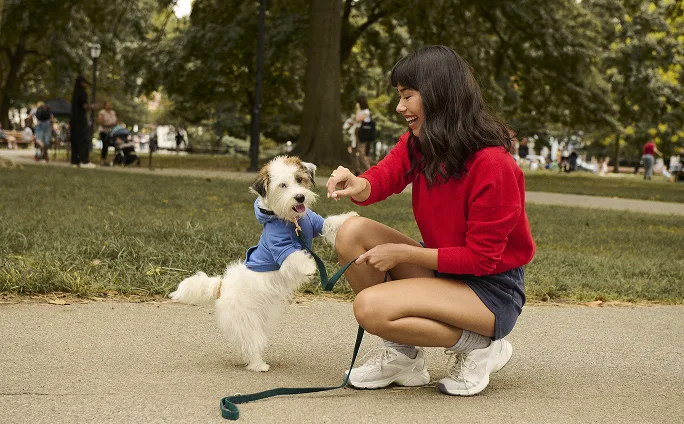 A woman wearing a red cotton sweater playing with her dog in a park.